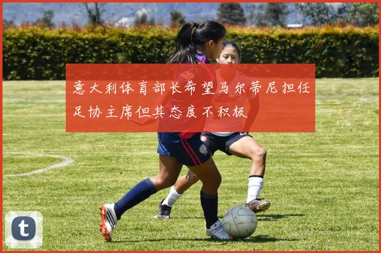 意大利体育部长希望马尔蒂尼担任足协主席但其态度不积极